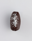 Dark Chocolaty Gem Coconutty